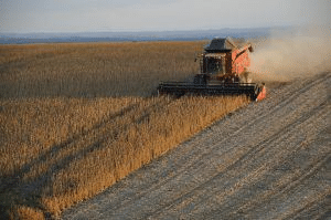 Agriculture & Agricultural Practices - Class 8
