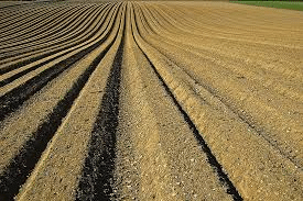 Agriculture & Agricultural Practices - Class 8