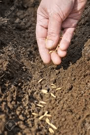 Agriculture & Agricultural Practices - Class 8