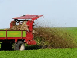 Agriculture & Agricultural Practices - Class 8