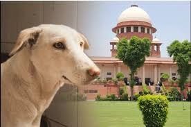 Indian Polity and Governance (Part 5): August 2025 Current Affairs | Current Affairs & General Knowledge - CLAT