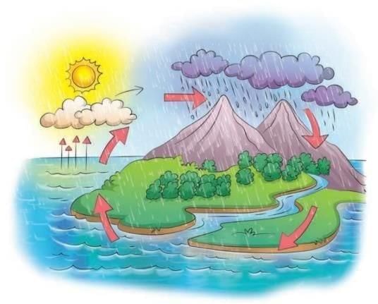 Worksheet Solutions: Water - The Essence of Life | Worksheets with Solutions for Class 5