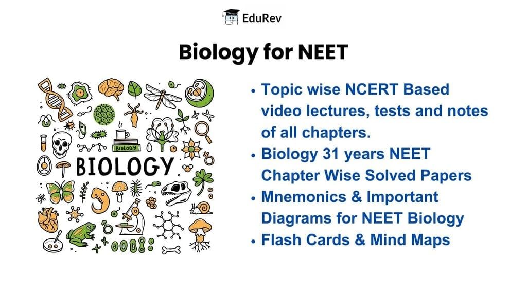 What do you get under EduRev Infinity Package for NEET? | Physics Class 11