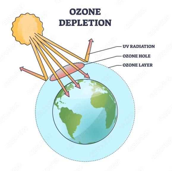 MCQ (Solution) - Our Home: Earth, a Unique Life Sustaining Planet | Science Curiosity Class 8 -  New NCERT