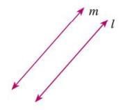 Fundamental Concepts of Geometry Chapter Notes | Mathematics Class 6 ICSE