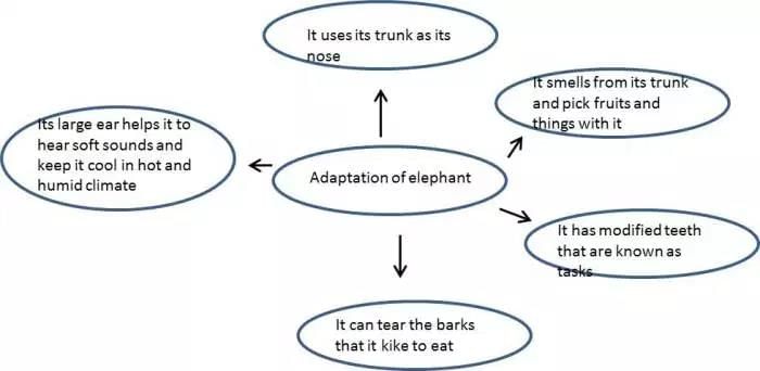 Weather,Climate and Adaptations of Animals to Climate - Class 7