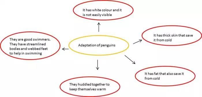 Weather,Climate and Adaptations of Animals to Climate - Class 7