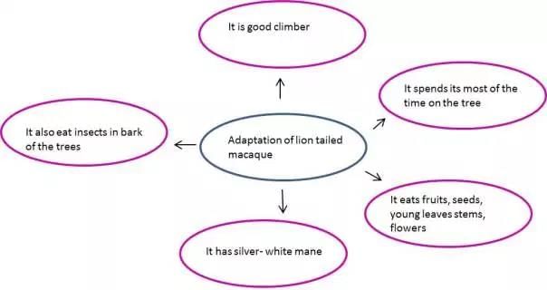 Weather,Climate and Adaptations of Animals to Climate - Class 7