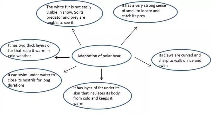 Weather,Climate and Adaptations of Animals to Climate - Class 7