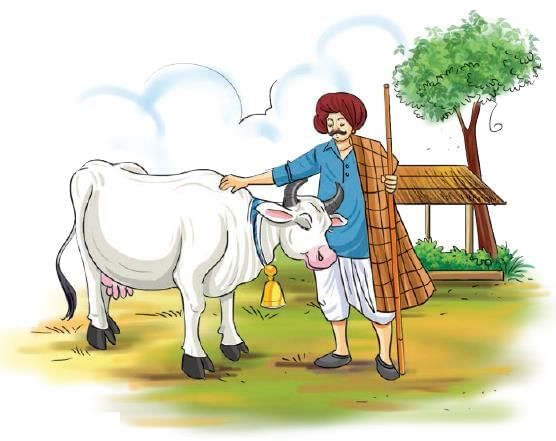 सुंदरिया Chapter Notes | Hindi Class 5 वीणा - New NCERT