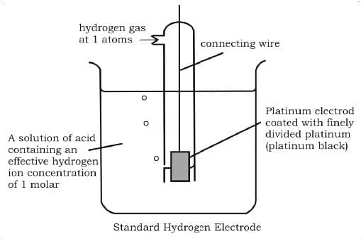 Types of Electrodes