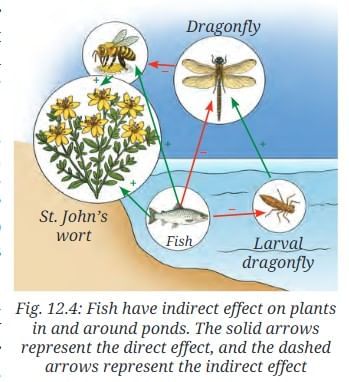 NCERT Based Activity: How Nature Works in Harmony | Science Curiosity Class 8 -  New NCERT