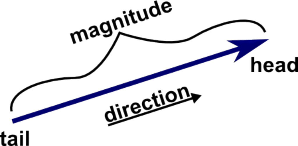 Vectors: Definition, Types & Unit Vectors | Physics for JEE Main & Advanced