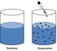 Mixture and Solution | Science Curiosity Class 8 - New NCERT