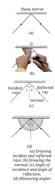 Light: Mirrors and Lenses Chapter Notes | Chapter Notes For Class 8