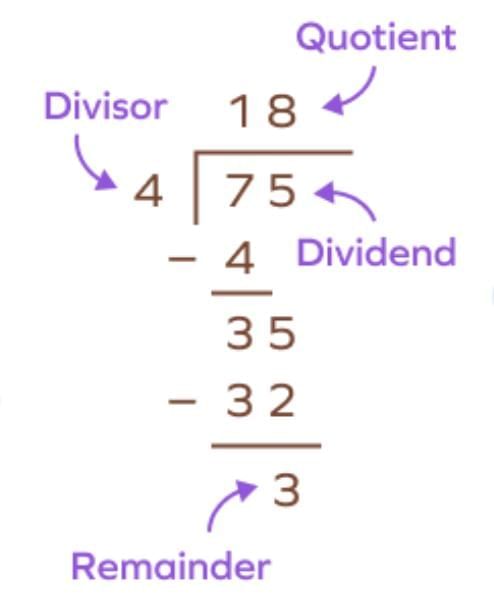 Important Formulas: Coconut Farm | Mathematics (Maths Mela) Class 5 - New NCERT