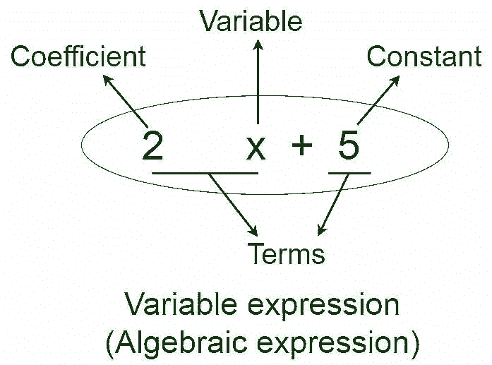 Algebraic Expressions Class 7 Notes Maths Chapter 10