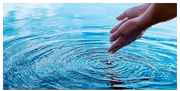 Human Needs Chapter Notes | Science Olympiad Class 4