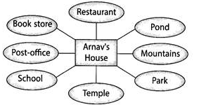 Science Olympiad Previous Year Questions - 2 | Science Olympiad Class 4