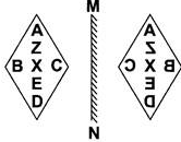 Science Olympiad Previous Year Questions - 3 | Science Olympiad Class 4