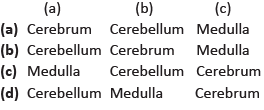 Science Olympiad Model Test Paper - 1 | Science Olympiad Class 4