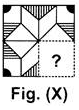 Science Olympiad Previous Year Questions - 1 | Science Olympiad Class 4