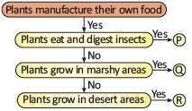 Science Olympiad Previous Year Questions - 1 | Science Olympiad Class 4