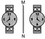 Science Olympiad Previous Year Questions - 2 | Science Olympiad Class 4