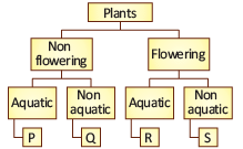 Science Olympiad Previous Year Questions - 1 | Science Olympiad Class 4