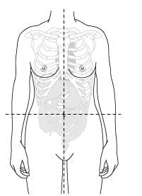 The abdomen can be divided into quadrants.