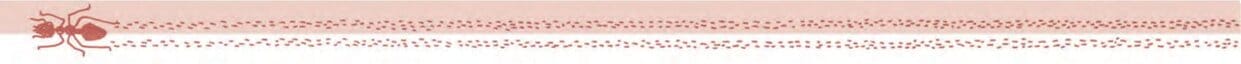 REVISION: