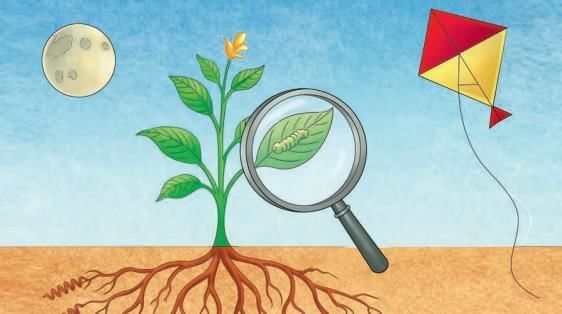Worksheet: Exploring the Investigative World of Science | Worksheets with Solutions for Class 8