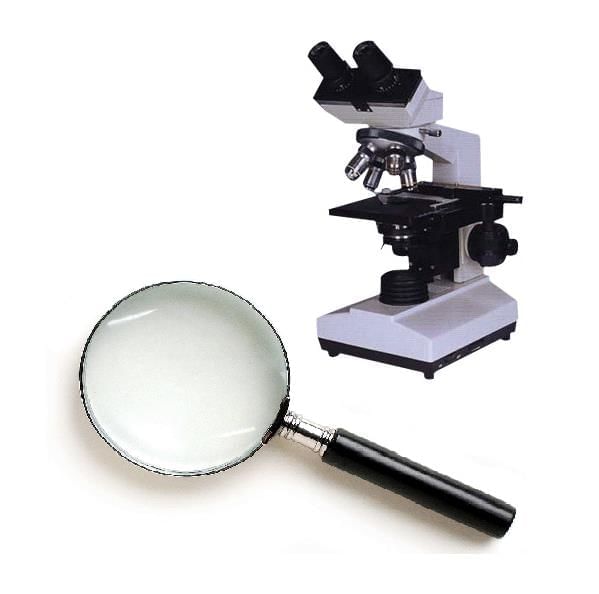 Short and Long Answer Questions: The Invisible Living World: Beyond Our Naked Eye | Science Curiosity Class 8 -  New NCERT