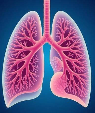 Staying Alive Chapter Notes | Year 3 Science IGCSE (Cambridge) - Class 3