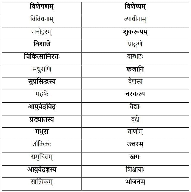 कोऽरुक् ? कोऽरुक् ? कोऽरुक् ? NCERT Solutions | Sanskrit  (Deepakam) Class  8  -  New  NCERT - Class 8