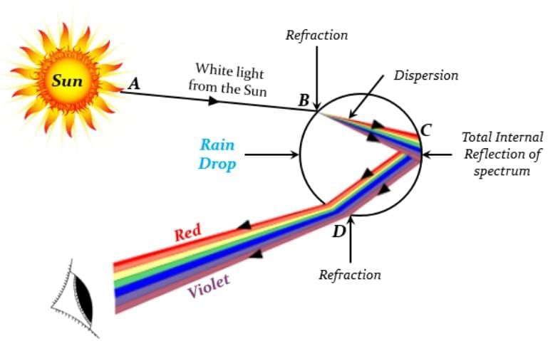 Class 10 Science Chapter 10 Previous Year Questions - The Human Eye and the Colourful World