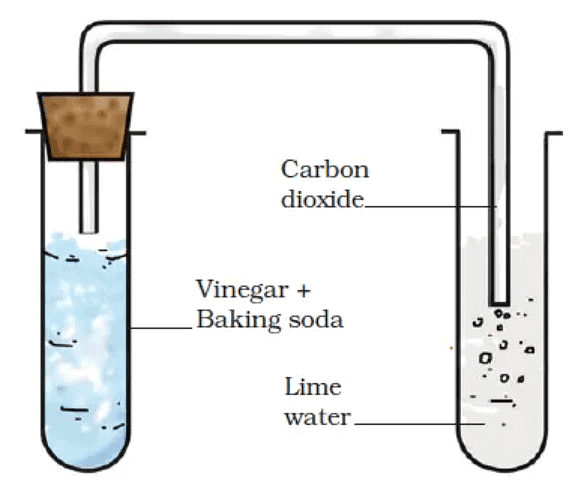 3. Reaction Between Vinegar and Baking Soda
