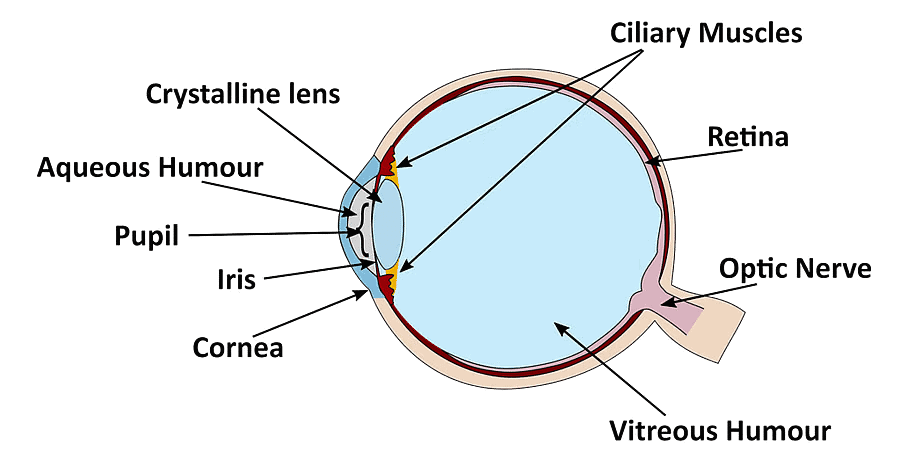 Lenses Chapter Notes | Physics for EmSAT Achieve