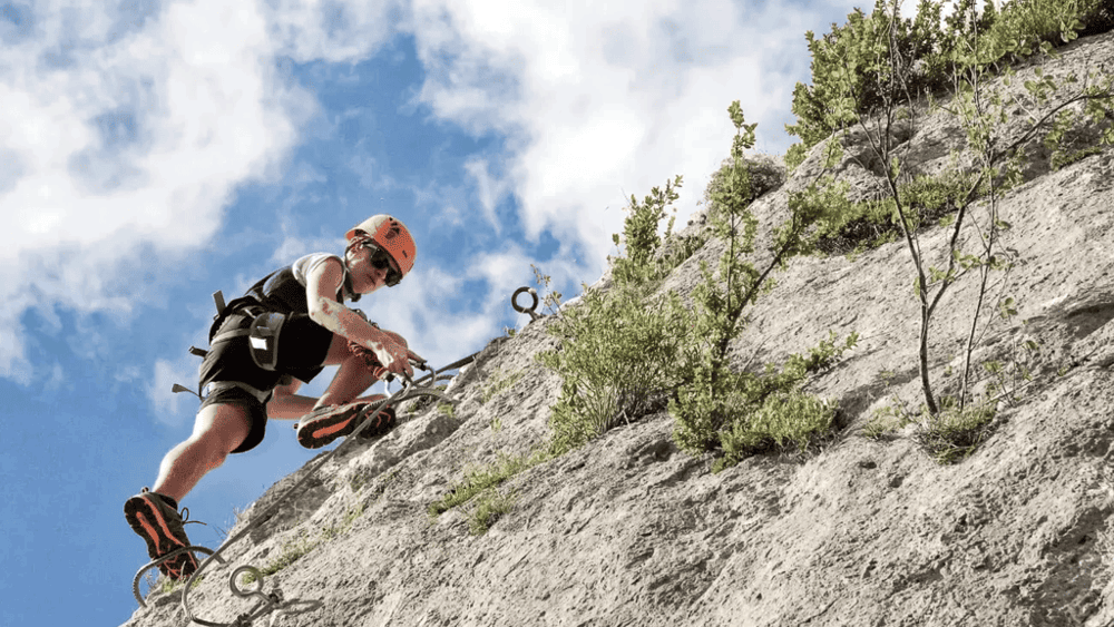High Altitude Pathogens