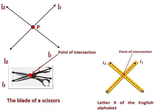 Basic Concepts in Geometry Chapter Notes | Mathematics Class 6 (SSC Board)