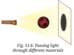 Activity Description