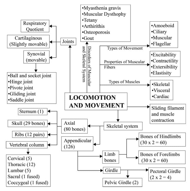 9.2 Locomotory Structures in Invertebrates
