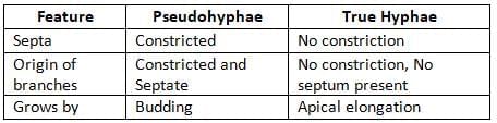 Mycology Chapter Notes | Microbiology - NEET PG