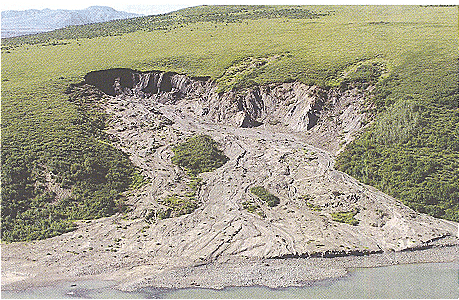 Melting Ice in Alaska Chapter Notes | Gul Mohar Class 8: Book Solutions, Summaries & Worksheets