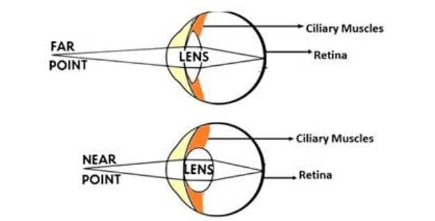 Lenses Chapter Notes | Physics for EmSAT Achieve
