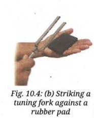 Activity 10.2 : Let us explore - Tuning Fork
