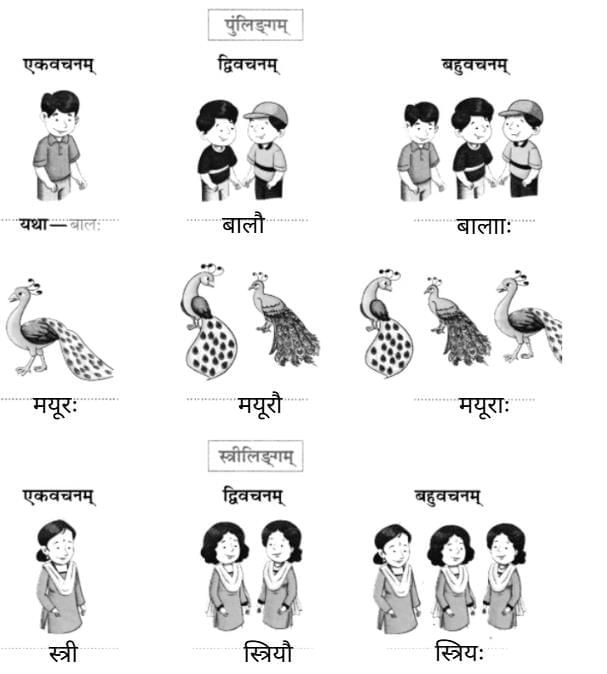 Worksheet Solutions : एष: क: ? एषा का ? एतत् किम् ? | Sanskrit for class 6