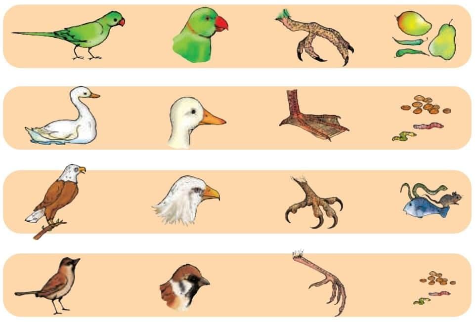 Nature Trail Class 4 Notes EVS Chapter 3 Free PDF