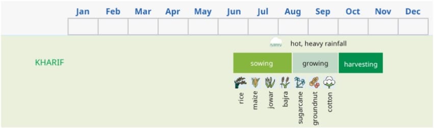 The rhythm of seasons and crops: kharif, rabi, and zaid