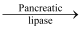 Digestion & Absorption (Old NCERT) NCERT Solutions | General Science for Competitive Exams - RRB Group D / RPF Constable
